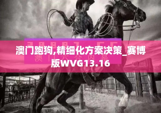澳門跑狗,精細(xì)化方案決策_(dá)賽博版WVG13.16
