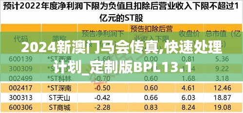 2024新澳門馬會傳真,快速處理計劃_定制版BPL13.1