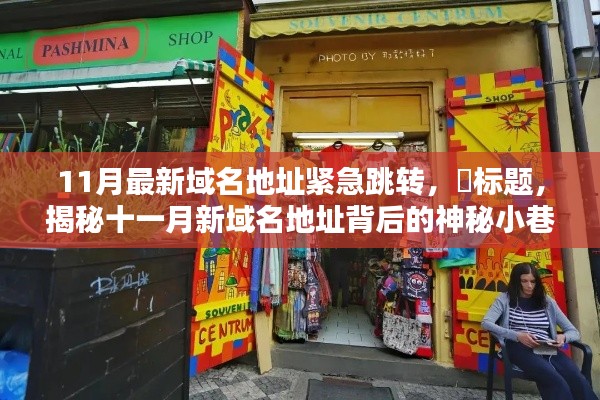 揭秘十一月新域名地址背后的神秘小巷特色小店，緊急跳轉新發現