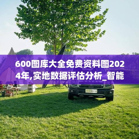 600圖庫大全免費資料圖2024年,實地數據評估分析_智能版DYJ13.64
