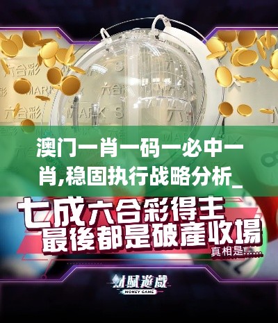 澳門一肖一碼一必中一肖,穩固執行戰略分析_豪華款PFL16.69