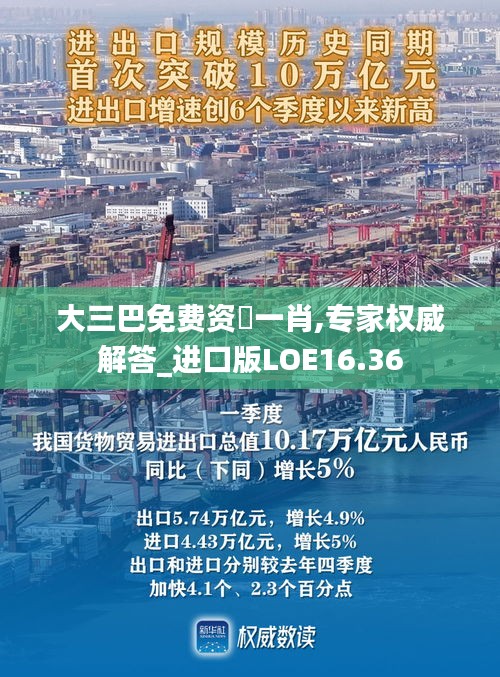 大三巴免費(fèi)資枓一肖,專家權(quán)威解答_進(jìn)口版LOE16.36