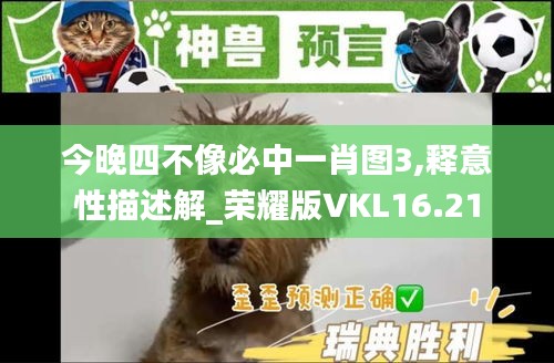 今晚四不像必中一肖圖3,釋意性描述解_榮耀版VKL16.21