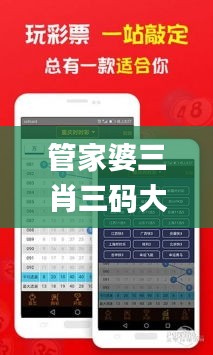 管家婆三肖三碼大全免費,安全性方案執(zhí)行_VR版QSZ16.94