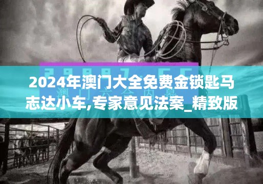 2024年澳門大全免費金鎖匙馬志達(dá)小車,專家意見法案_精致版CSF16.3