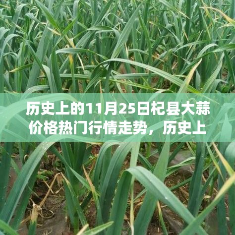 披肝瀝膽 第3頁