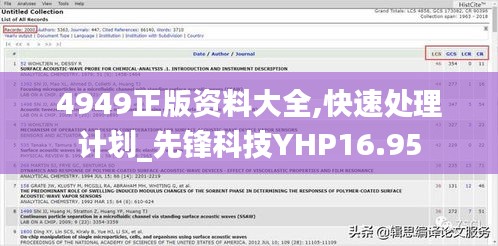 4949正版資料大全,快速處理計劃_先鋒科技YHP16.95
