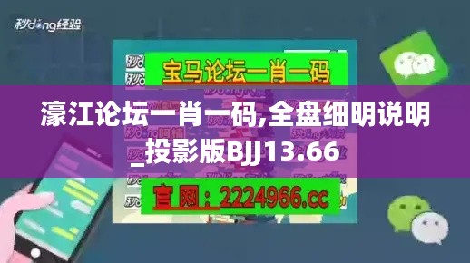 濠江論壇一肖一碼,全盤細明說明_投影版BJJ13.66