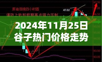 谷子熱門價格走勢深度解析，用戶體驗與目標用戶群體分析