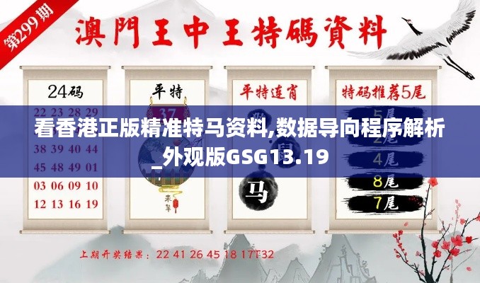 看香港正版精準(zhǔn)特馬資料,數(shù)據(jù)導(dǎo)向程序解析_外觀版GSG13.19