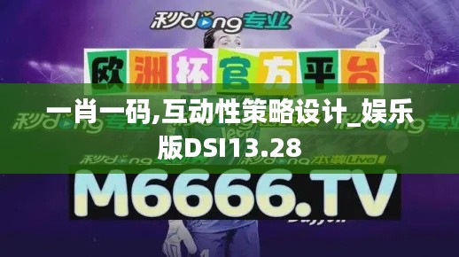 一肖一碼,互動性策略設計_娛樂版DSI13.28