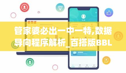 管家婆必出一中一特,數據導向程序解析_百搭版BBL16.79