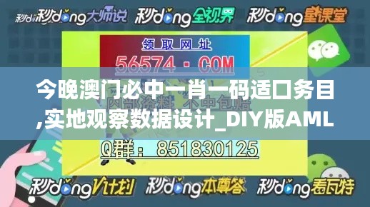 今晚澳門必中一肖一碼適囗務目,實地觀察數據設計_DIY版AML16.7