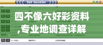 四不像六好彩資料,專業地調查詳解_外觀版FLE16.88