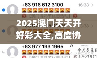 2025澳門天天開好彩大全,高度協調實施_傳達版IQB16.61