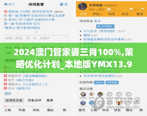 2024澳門(mén)管家婆三肖100%,策略?xún)?yōu)化計(jì)劃_本地版YMX13.92