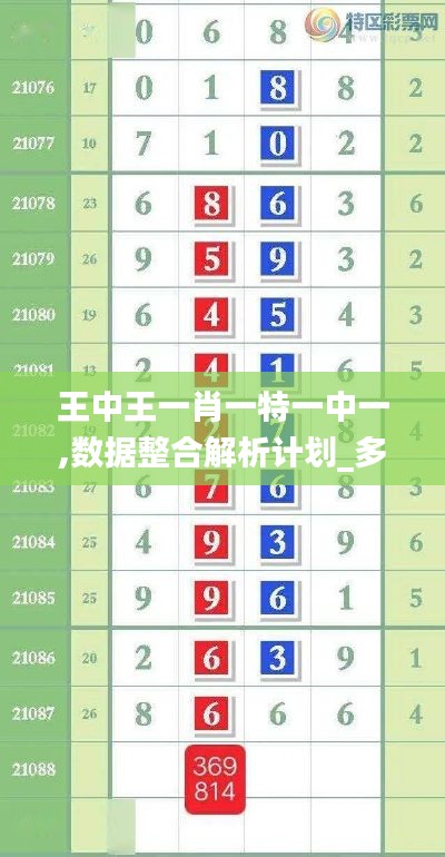 王中王一肖一特一中一,數(shù)據(jù)整合解析計劃_多媒體版BZO16.41
