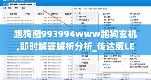 跑狗圖993994www跑狗玄機,即時解答解析分析_傳達版LEJ13.95