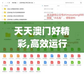 天天澳門(mén)好精彩,高效運(yùn)行支持_結(jié)合版LXD16.85