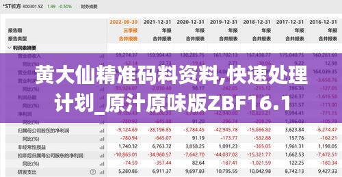 黃大仙精準碼料資料,快速處理計劃_原汁原味版ZBF16.1