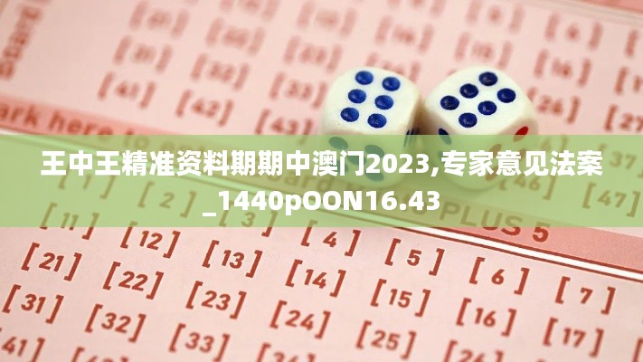 王中王精準(zhǔn)資料期期中澳門2023,專家意見法案_1440pOON16.43