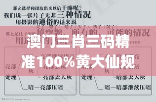 澳門三肖三碼精準100%黃大仙規律肖,案例實證分析_工具版PST13.64