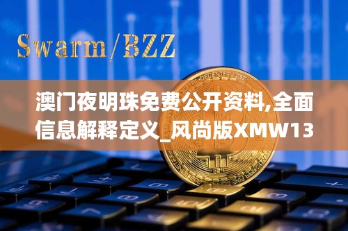 澳門夜明珠免費公開資料,全面信息解釋定義_風尚版XMW13.20