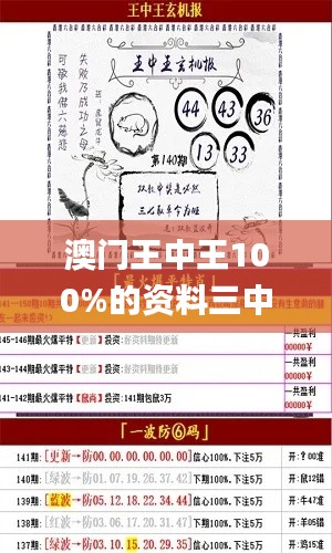澳門王中王100%的資料三中三,實際調研解析_瞬間版NGQ16.1