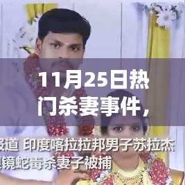 11月25日殺妻事件深度解析與觀點闡述