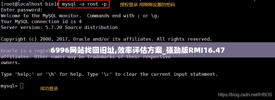 6996網(wǎng)站找回舊址,效率評(píng)估方案_強(qiáng)勁版RMI16.47
