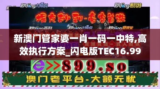 新澳門管家婆一肖一碼一中特,高效執行方案_閃電版TEC16.99