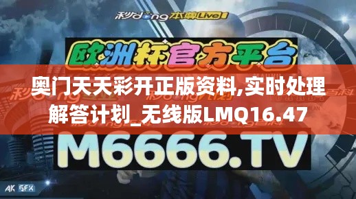 奧門天天彩開正版資料,實時處理解答計劃_無線版LMQ16.47