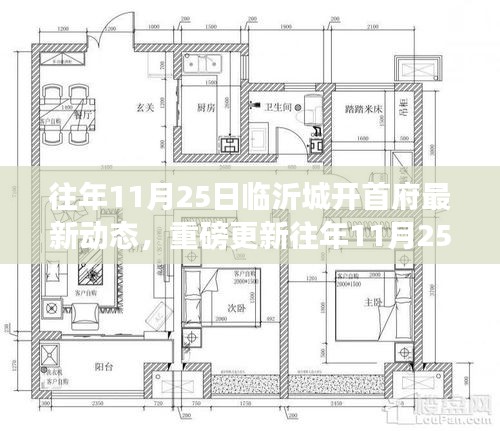 往年11月25日臨沂城開首府最新動態揭秘
