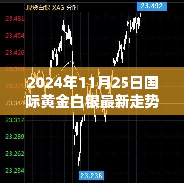 2024年11月25日國際黃金白銀走勢解析及最新動態(tài)