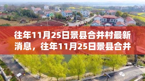 往年11月25日景縣合并村動態更新，深度解析三大要點概覽