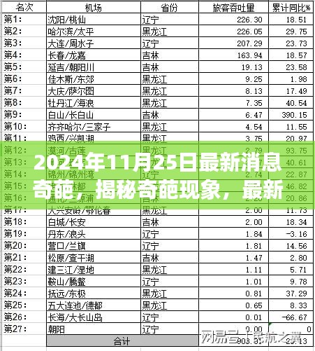 揭秘奇葩現象，深度解讀最新消息與深度解讀（2024年11月25日熱點聚焦）