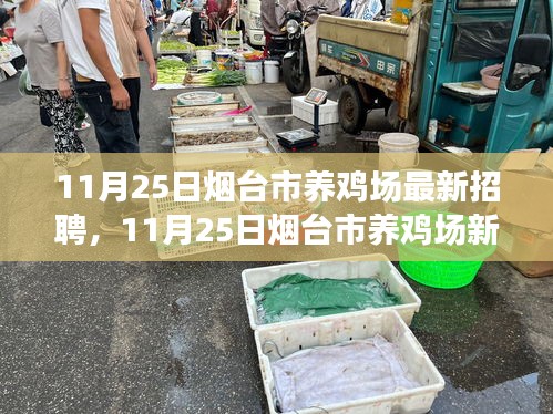 煙臺市養雞場最新招聘啟事，從雞舍走向成功之路，學習變化成就輝煌人生