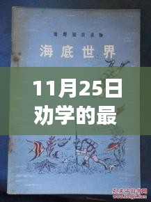 探秘小巷深處的知識(shí)綠洲，最新勸學(xué)之旅特別版（11月25日）