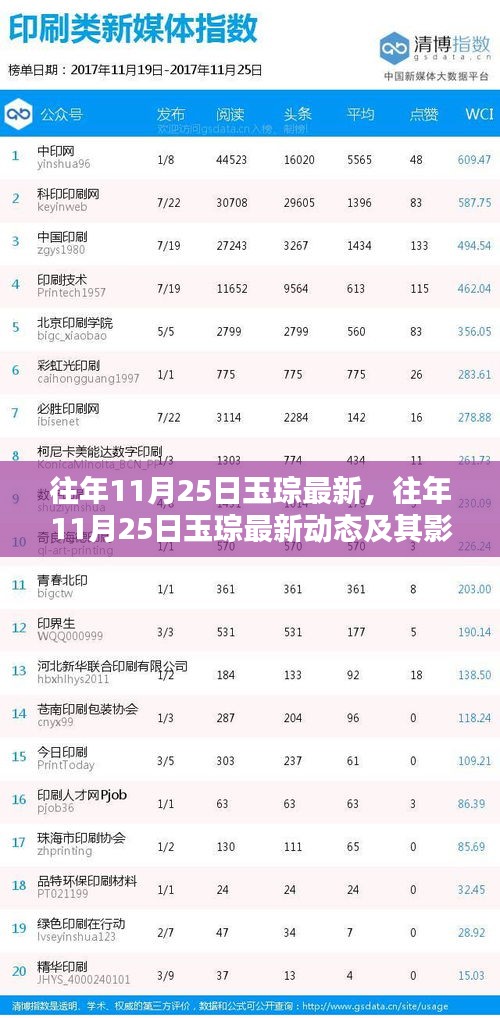 往年11月25日玉琮最新動態及其深度影響分析