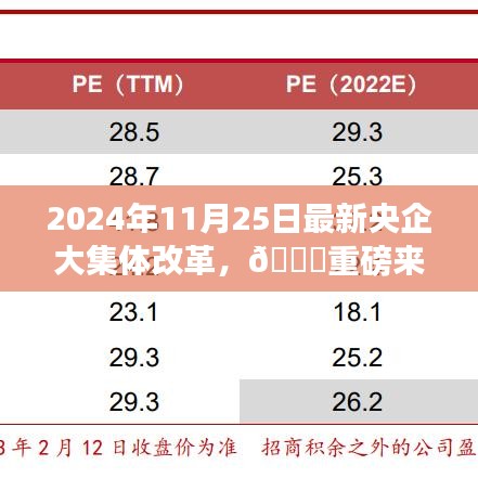 重磅來襲！2024年央企大集體改革深度解讀，開啟新征程
