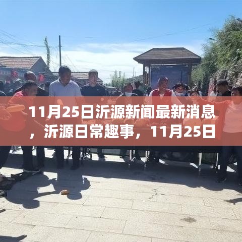沂源新聞熱點速遞，溫馨日常趣事與最新消息回顧（11月25日）