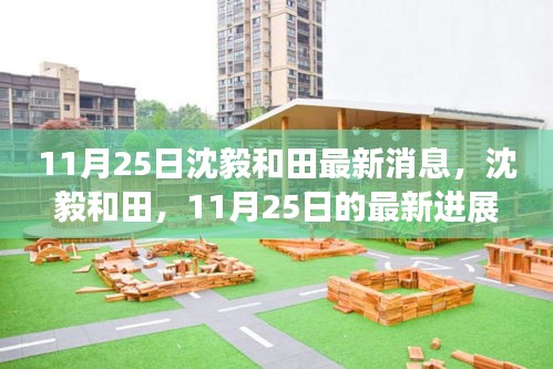 時代背景下的沈毅和田，最新進展與深度解讀（11月25日更新）