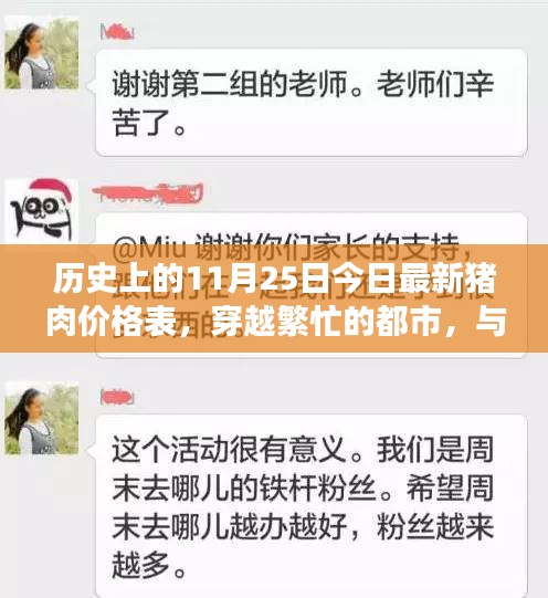 豬肉市場風云變幻，今日價格、都市探尋與心靈凈土之旅