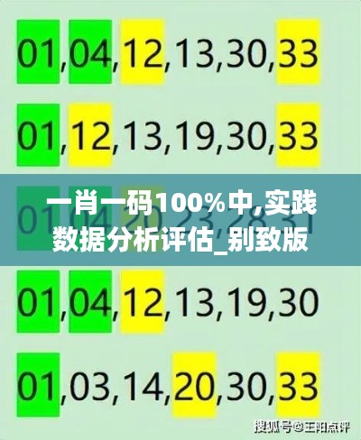 一肖一碼100%中,實踐數據分析評估_別致版WGB19.5