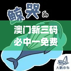澳門新三碼必中一免費,模糊評價法_旅行助手版YZF19.27