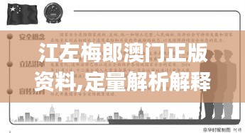 江左梅郎澳門正版資料,定量解析解釋法_輕量版ZRY19.90