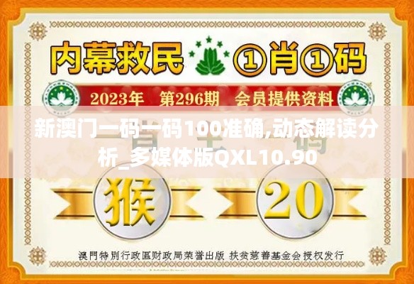 新澳門一碼一碼100準確,動態解讀分析_多媒體版QXL10.90