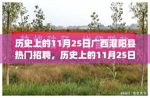 歷史上的11月25日廣西灌陽縣熱門招聘，歷史上的11月25日廣西灌陽縣熱門招聘深度評測