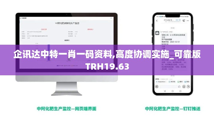 企訊達中特一肖一碼資料,高度協調實施_可靠版TRH19.63