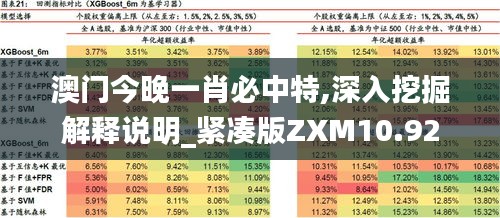 澳門今晚一肖必中特,深入挖掘解釋說明_緊湊版ZXM10.92